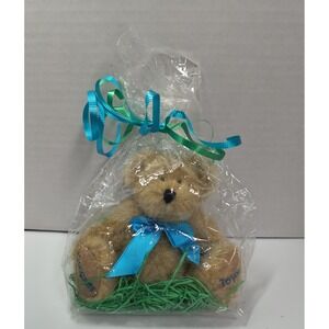 Boyds Bears Congratulations Beige Teddy Bear In Gift Bag Blue Bow Head Bean Coll
